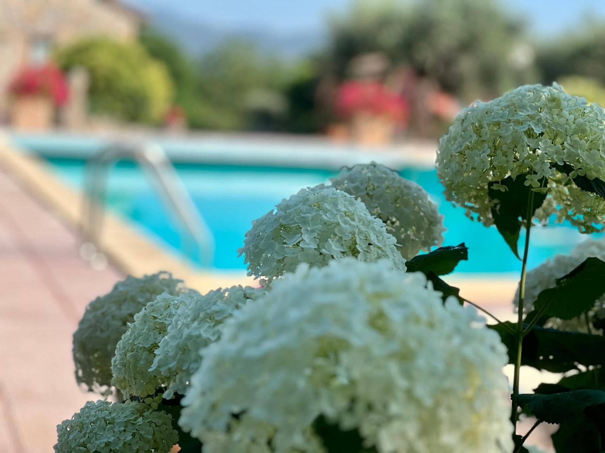 Le case di Lisetta Holiday homes Corciano Esterno foto