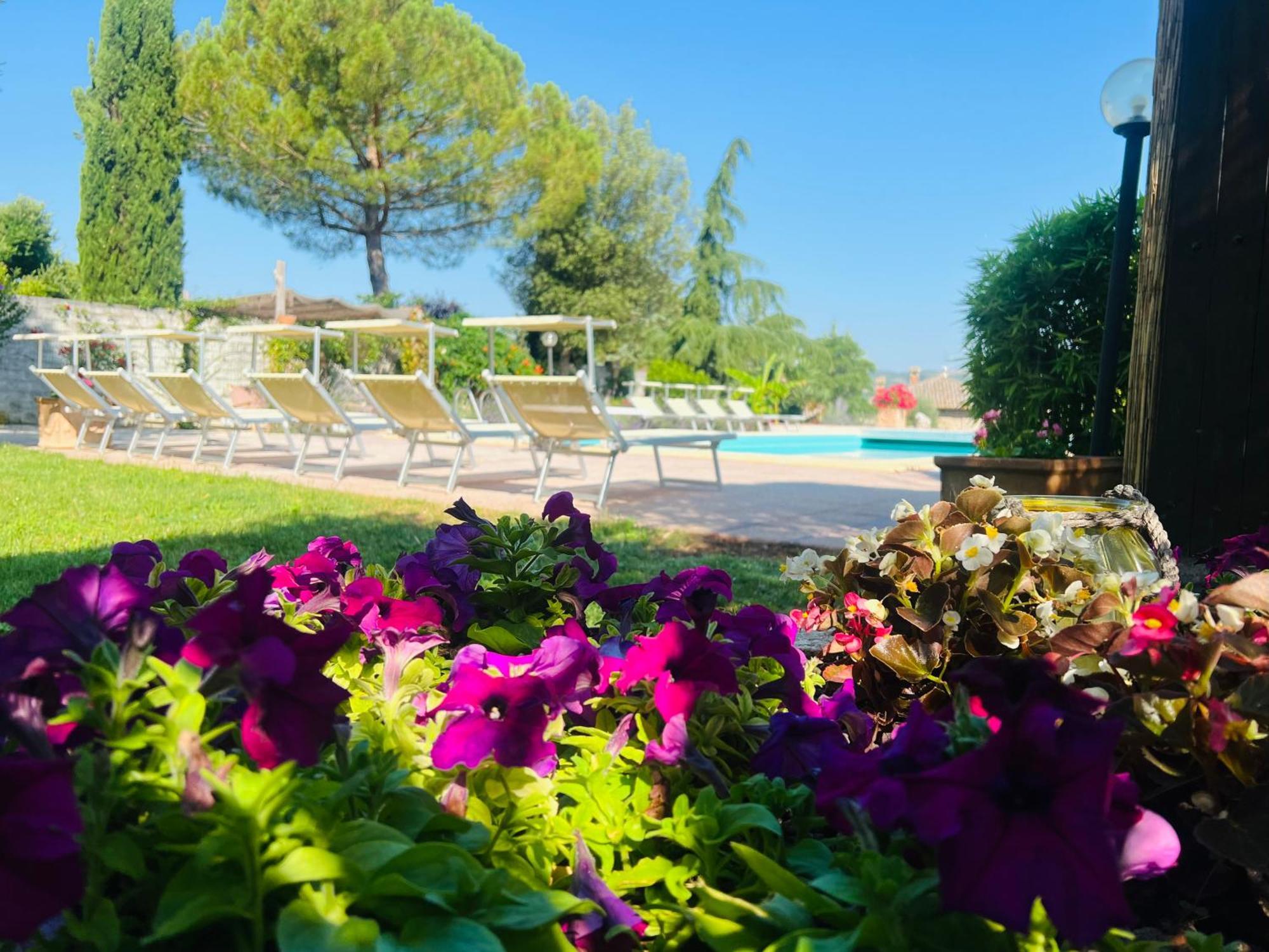 Le case di Lisetta Holiday homes Corciano Esterno foto