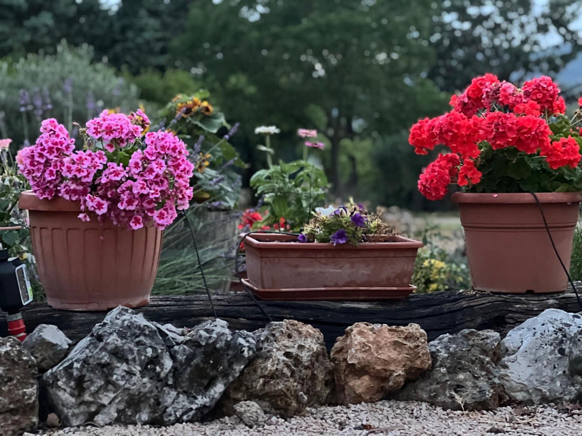 Le case di Lisetta Holiday homes Corciano Esterno foto