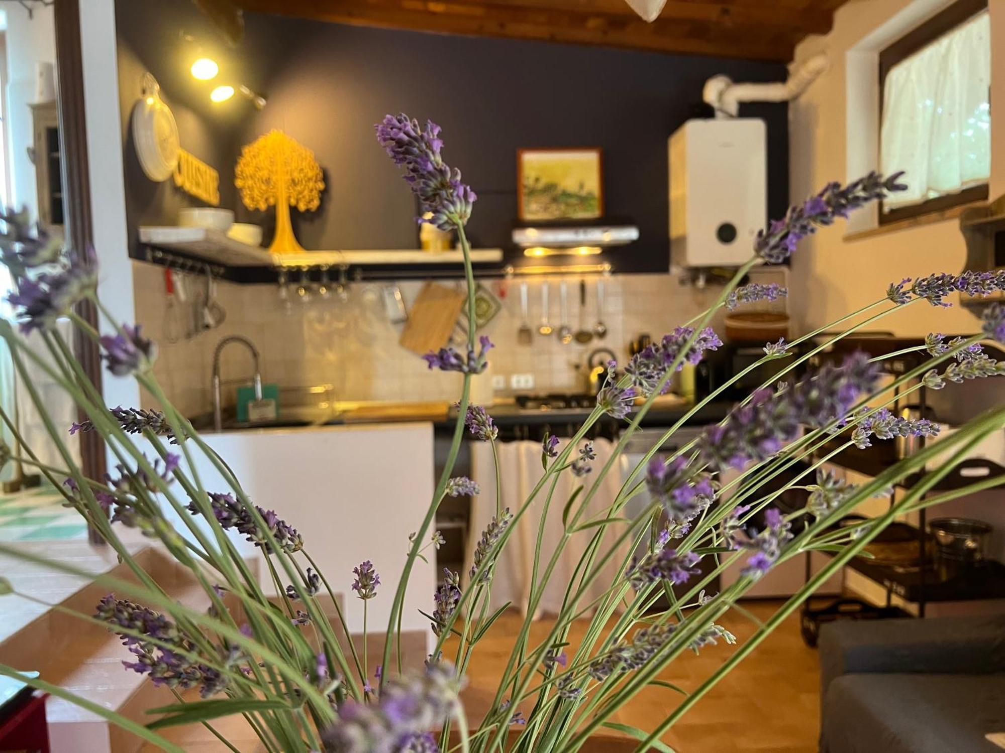 Le case di Lisetta Holiday homes Corciano Esterno foto