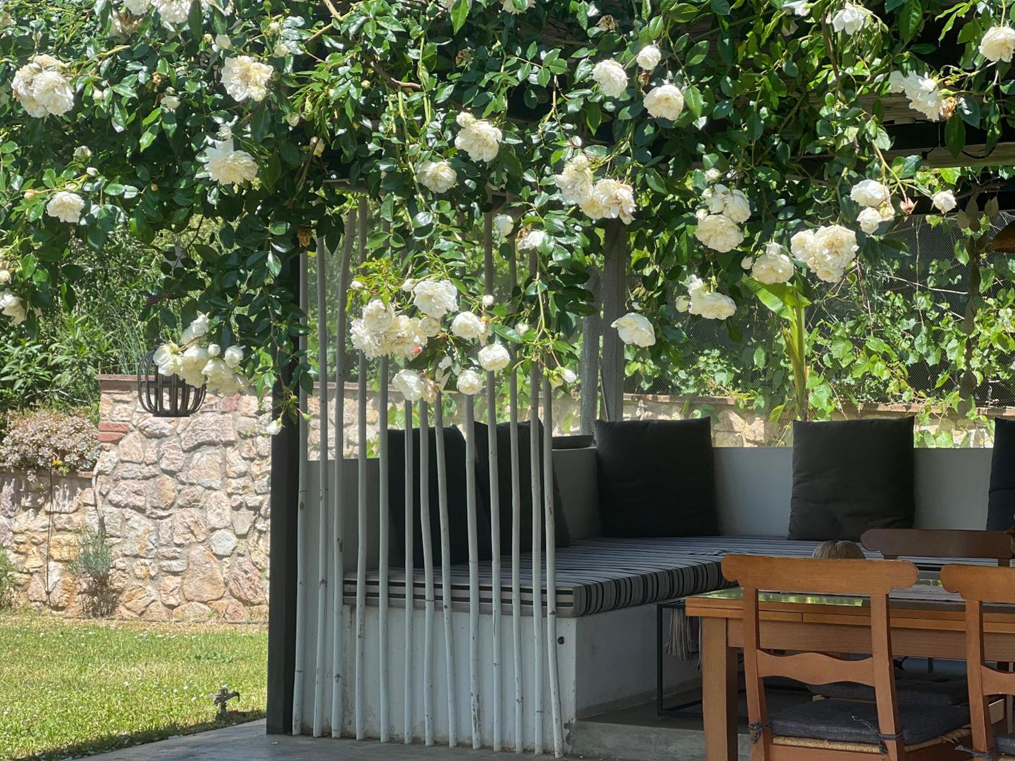 Le case di Lisetta Holiday homes Corciano Esterno foto