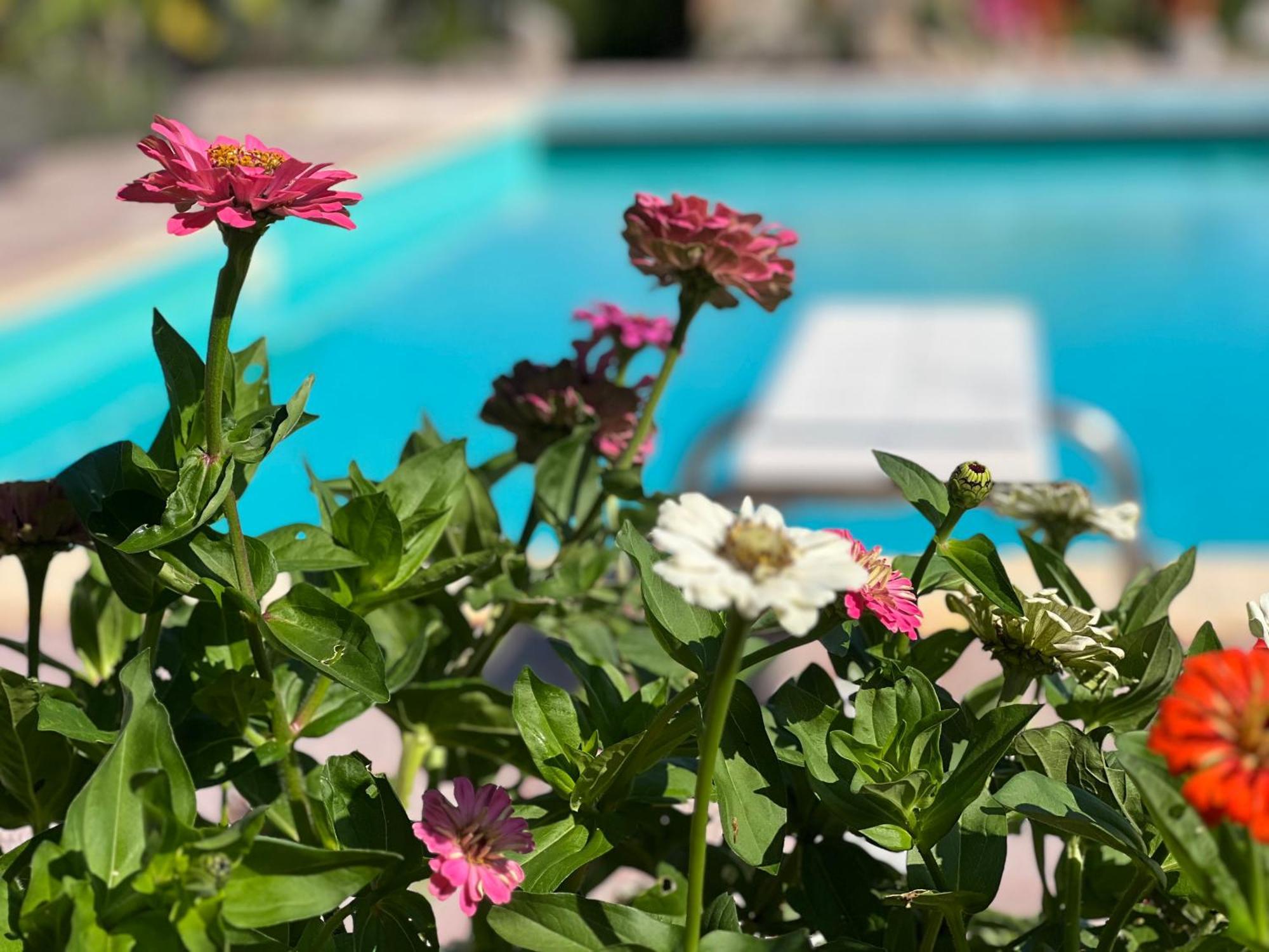 Le case di Lisetta Holiday homes Corciano Esterno foto