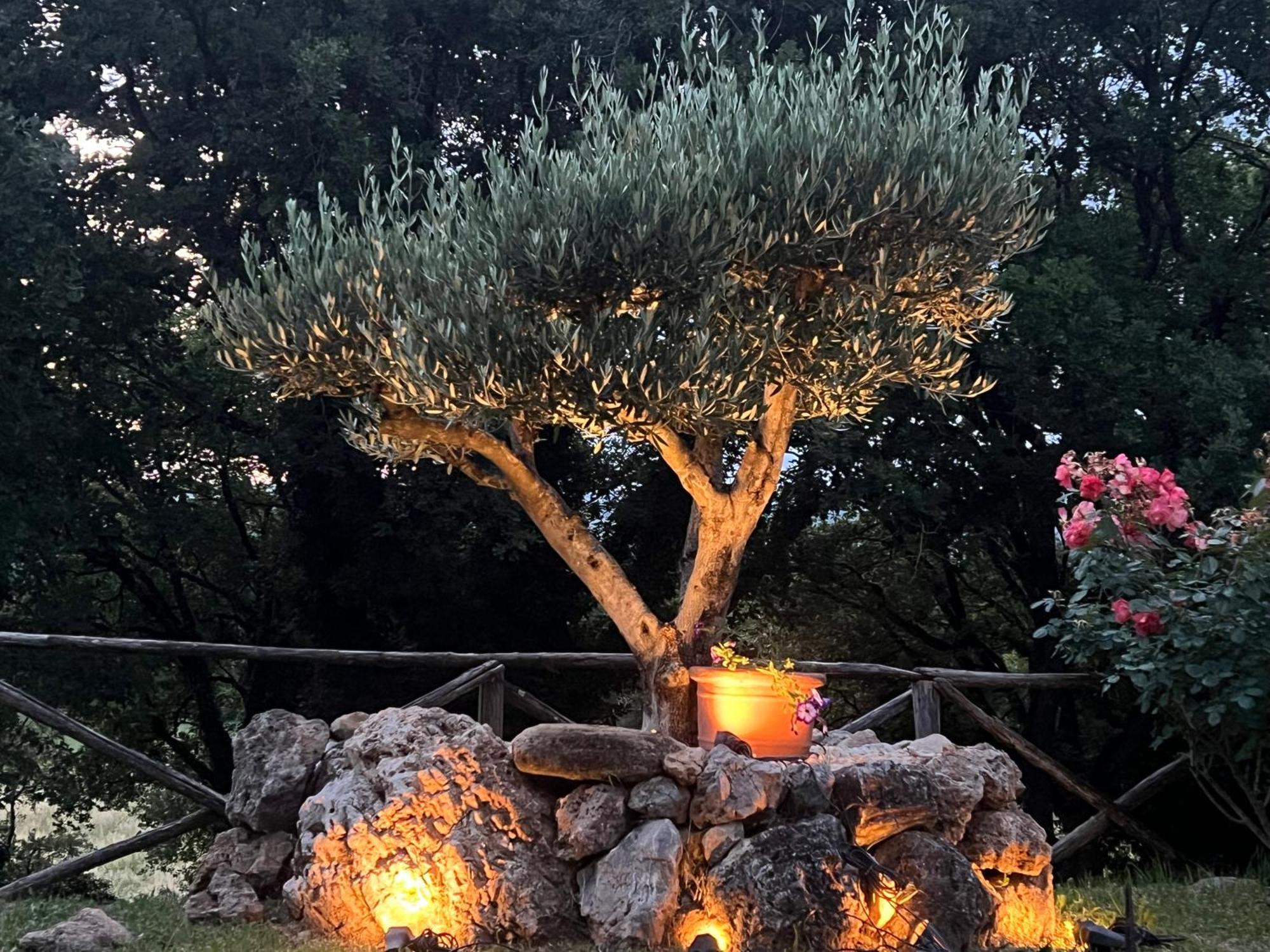 Le case di Lisetta Holiday homes Corciano Esterno foto